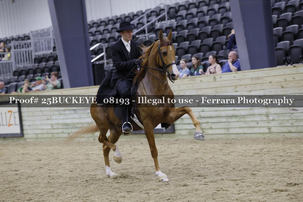 Proof Number 25BUCKEYE_08193