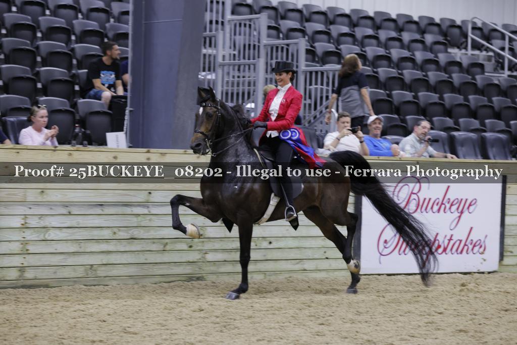 Proof Number 25BUCKEYE_08202