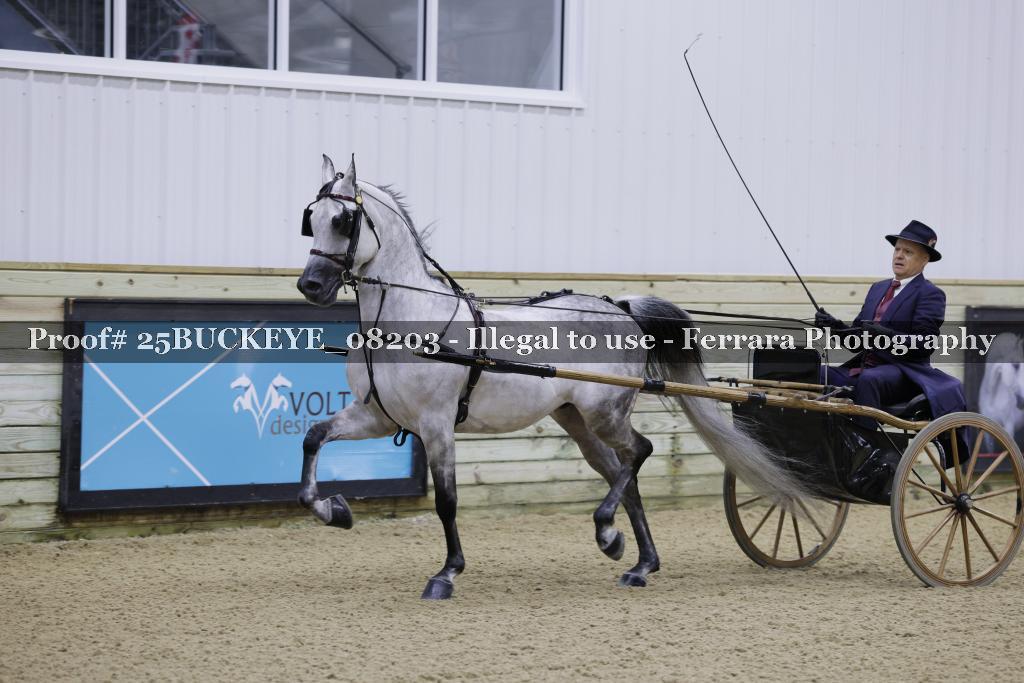 Proof Number 25BUCKEYE_08203