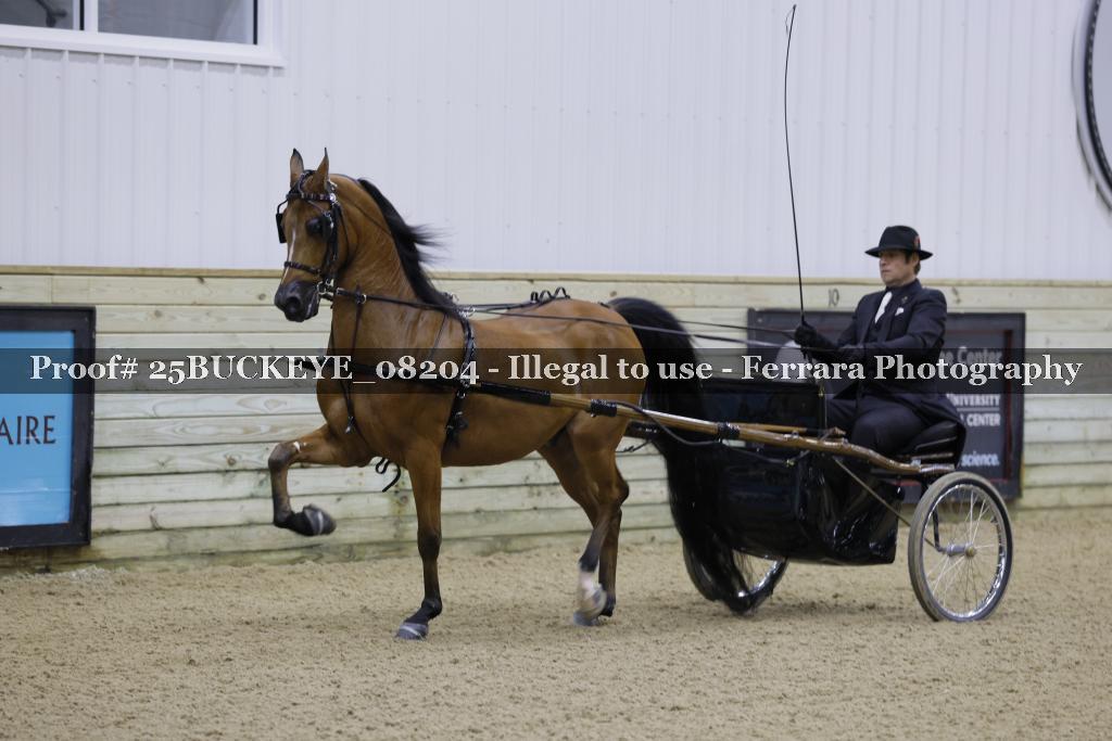 Proof Number 25BUCKEYE_08204