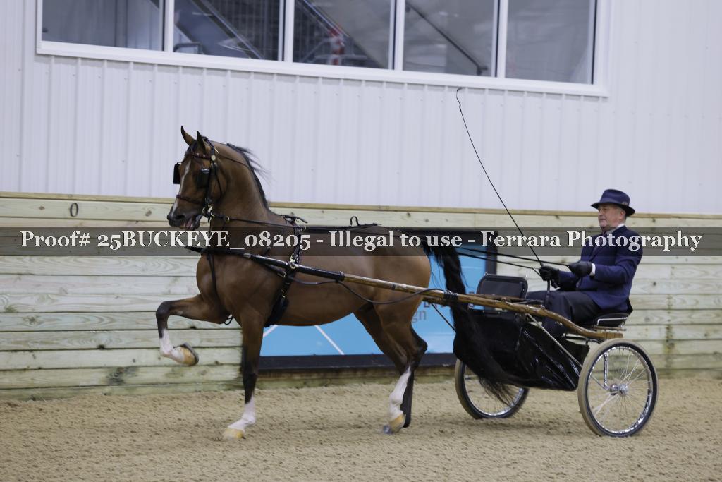 Proof Number 25BUCKEYE_08205