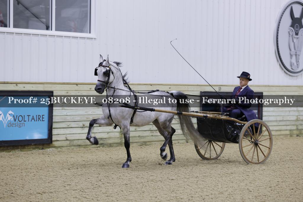 Proof Number 25BUCKEYE_08208