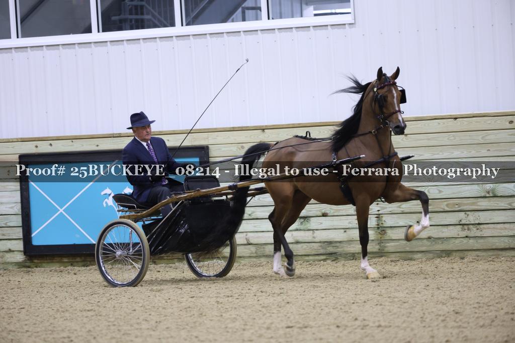Proof Number 25BUCKEYE_08214