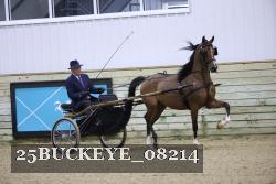25BUCKEYE_08214 thumbnail