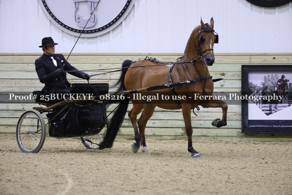 Proof Number 25BUCKEYE_08216