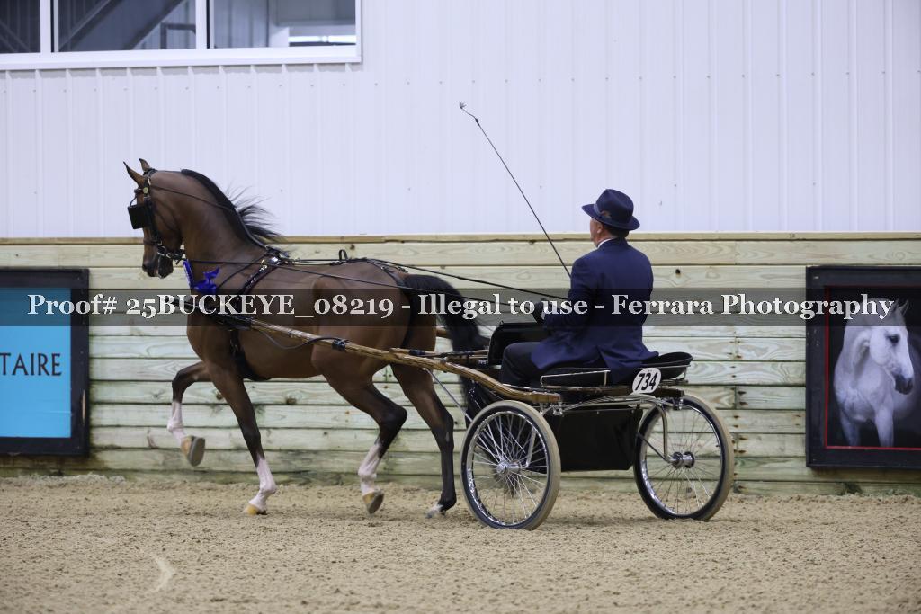 Proof Number 25BUCKEYE_08219