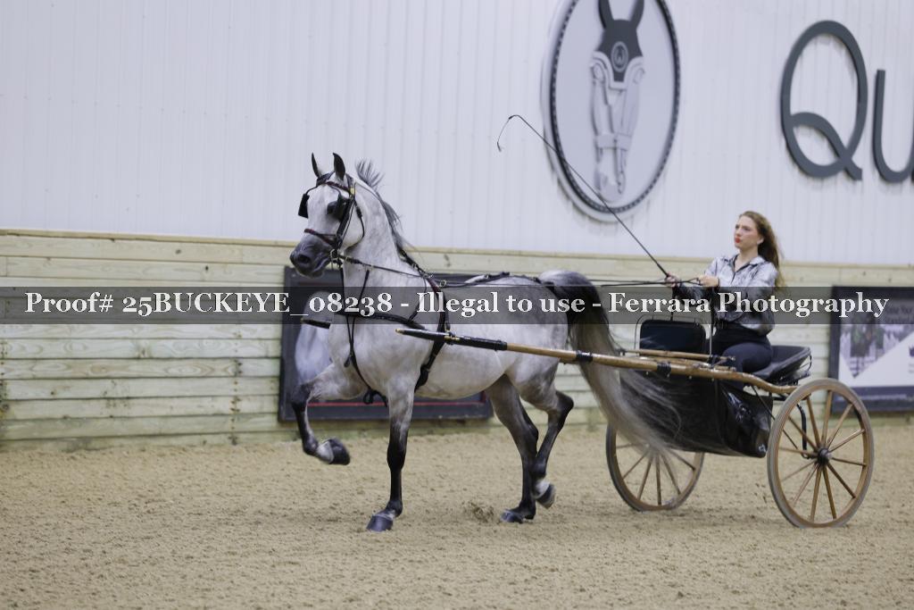 Proof Number 25BUCKEYE_08238