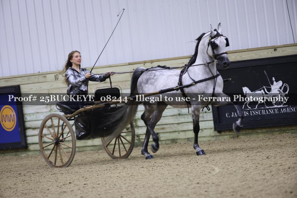 Proof Number 25BUCKEYE_08244