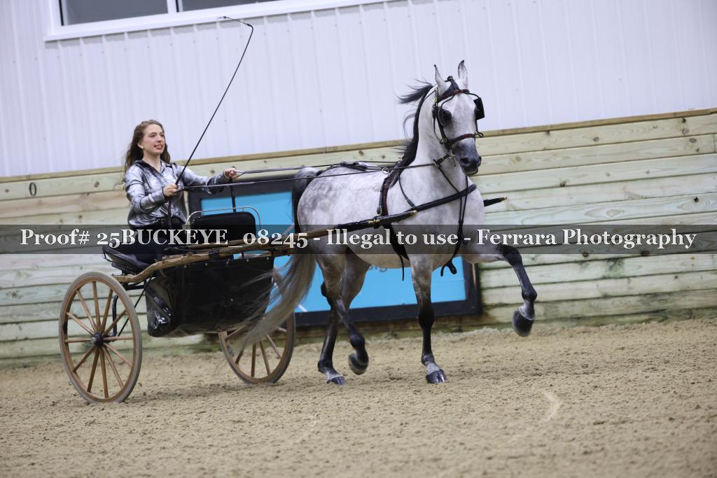 Proof Number 25BUCKEYE_08245