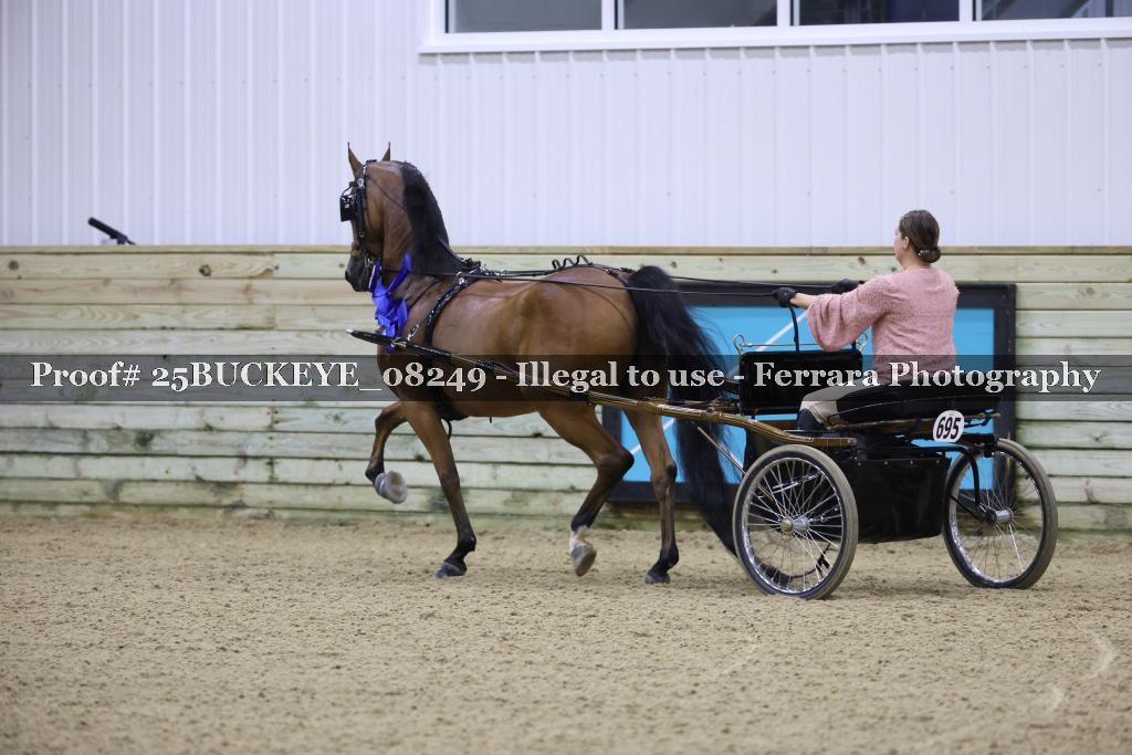 Proof Number 25BUCKEYE_08249