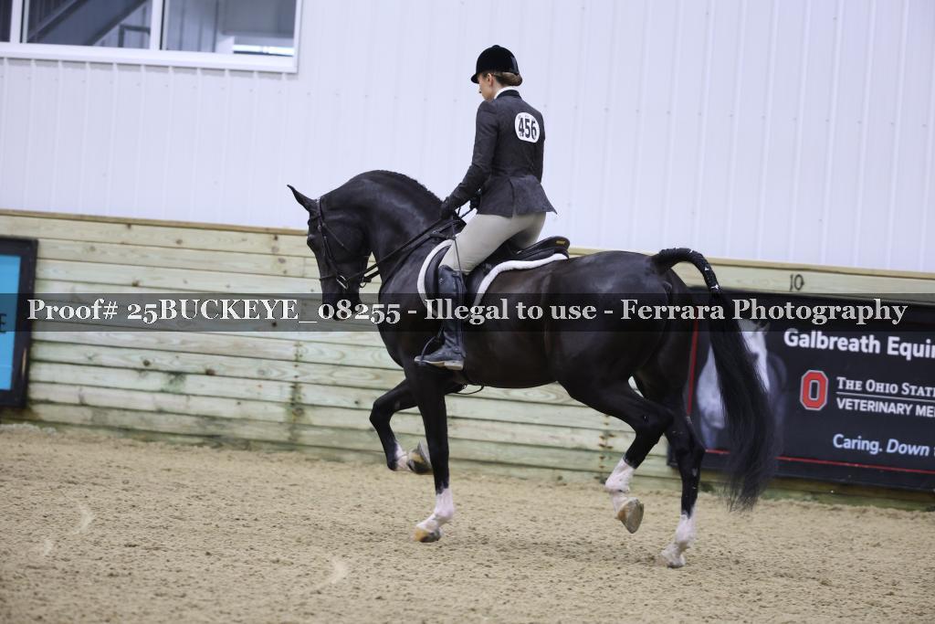 Proof Number 25BUCKEYE_08255