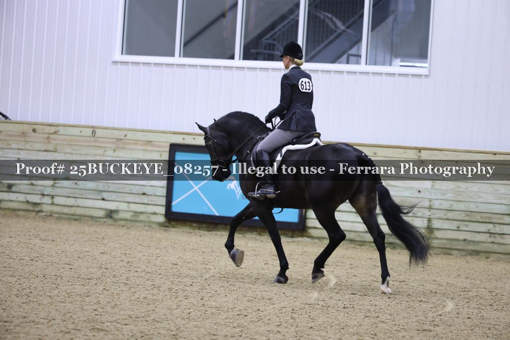 Proof Number 25BUCKEYE_08257