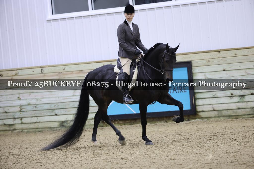 Proof Number 25BUCKEYE_08275