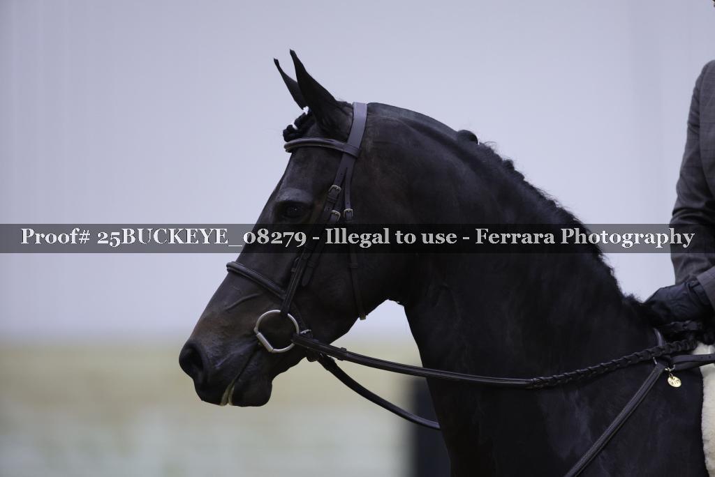 Proof Number 25BUCKEYE_08279