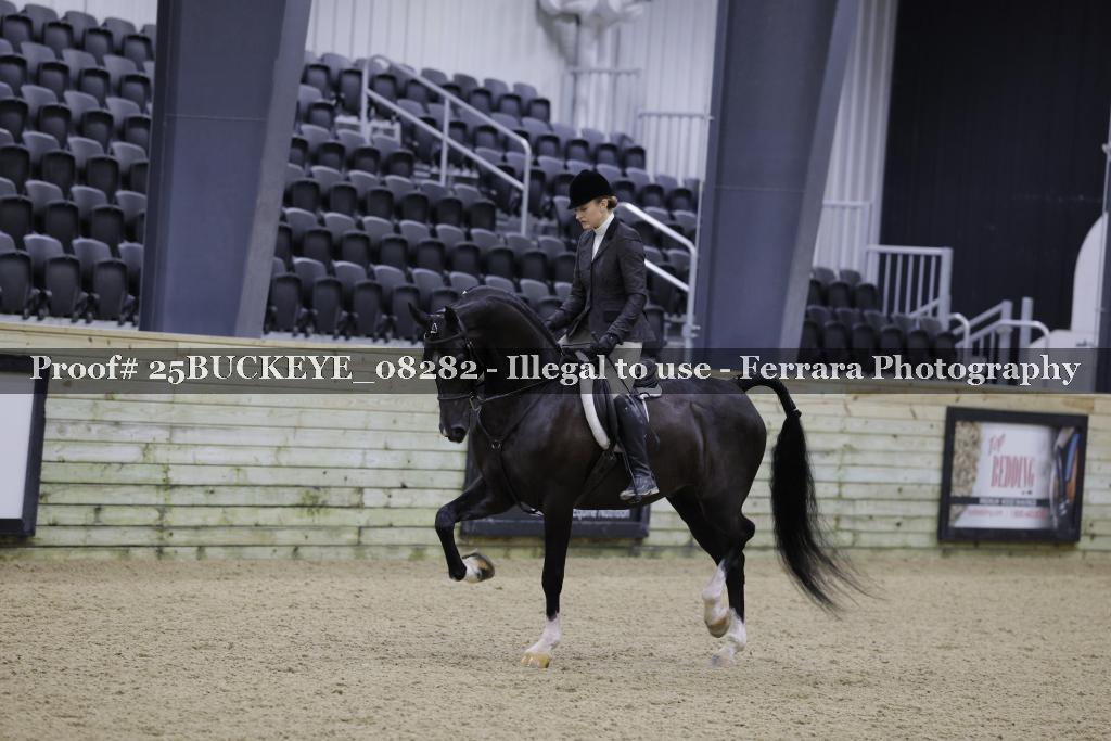 Proof Number 25BUCKEYE_08282