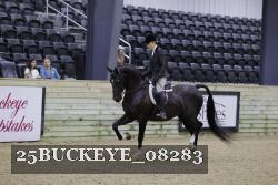25BUCKEYE_08283 thumbnail