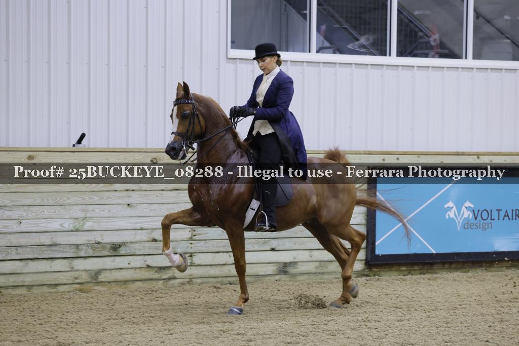 Proof Number 25BUCKEYE_08288