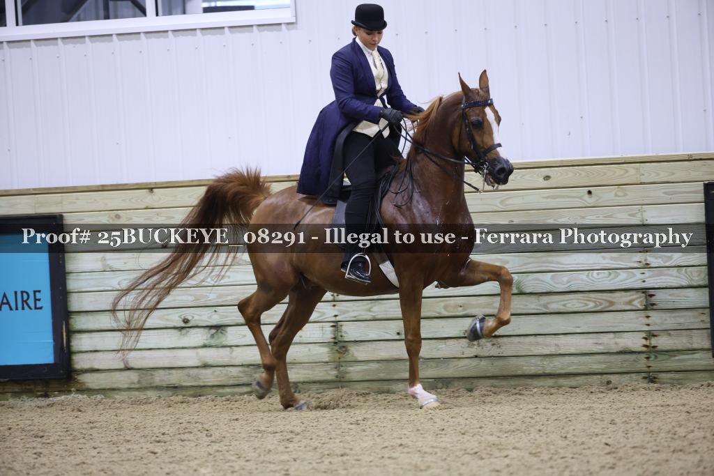 Proof Number 25BUCKEYE_08291
