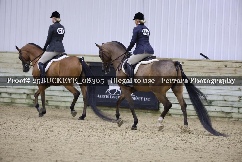Proof Number 25BUCKEYE_08305