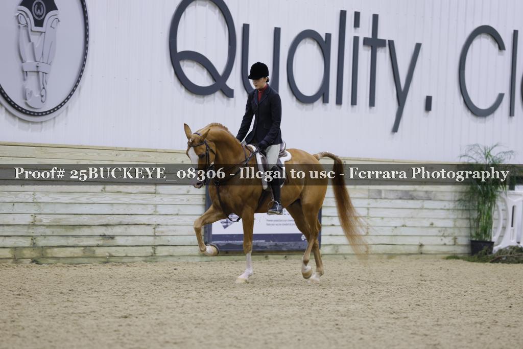 Proof Number 25BUCKEYE_08306