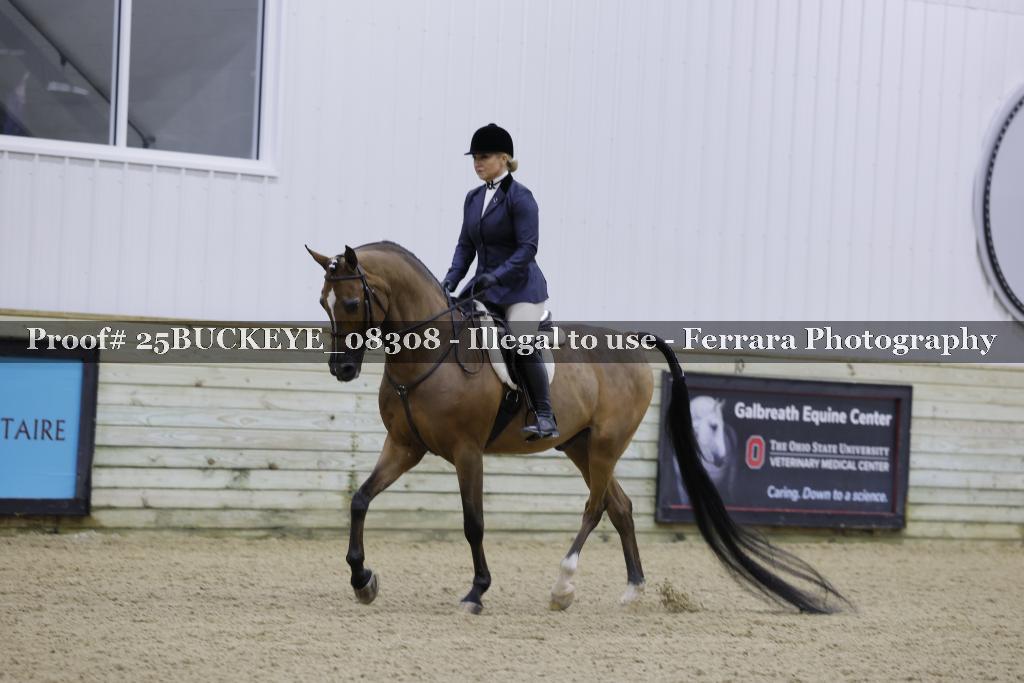 Proof Number 25BUCKEYE_08308