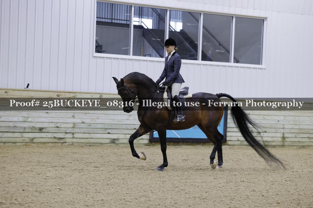 Proof Number 25BUCKEYE_08316