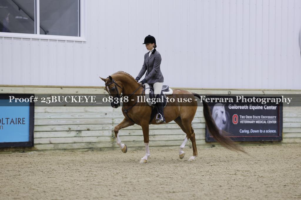 Proof Number 25BUCKEYE_08318
