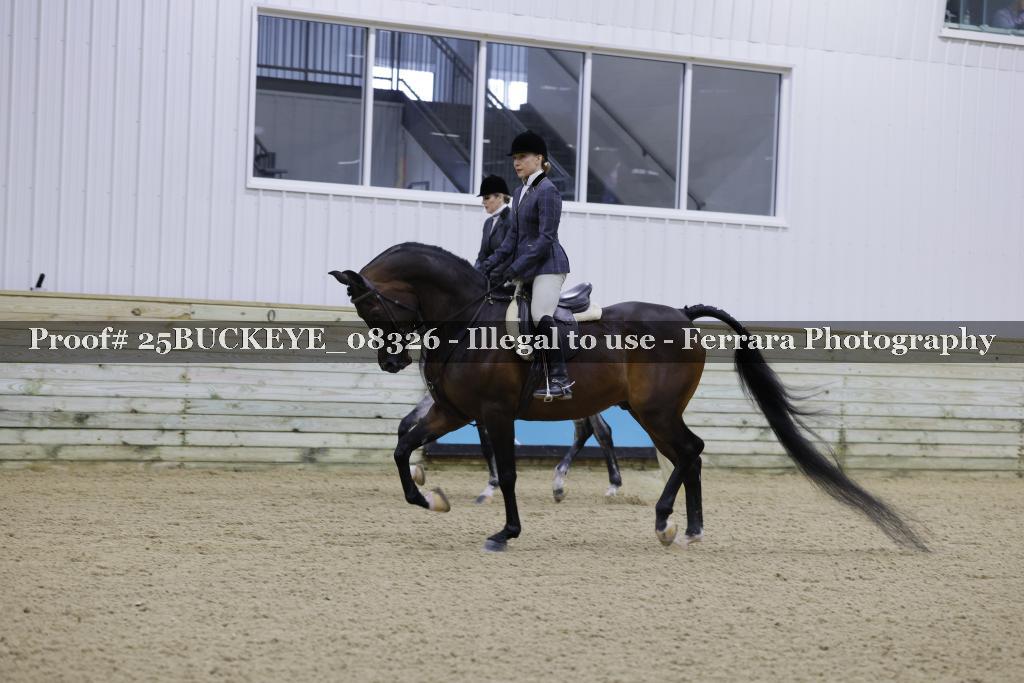 Proof Number 25BUCKEYE_08326