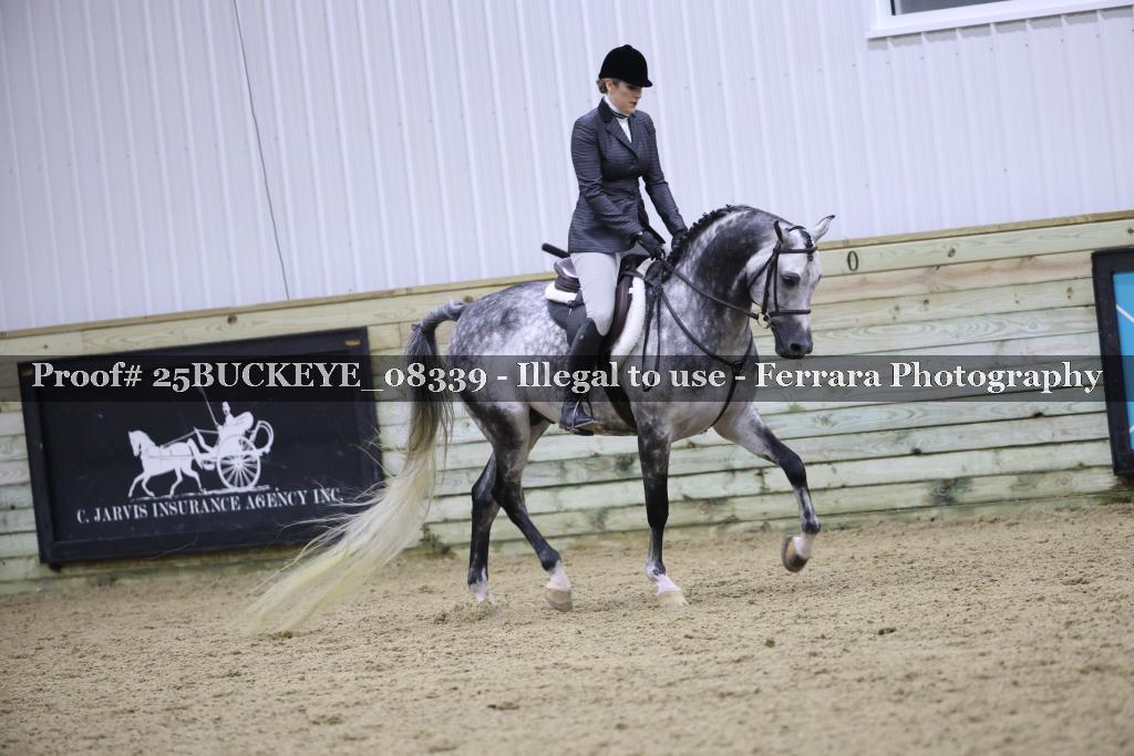 Proof Number 25BUCKEYE_08339