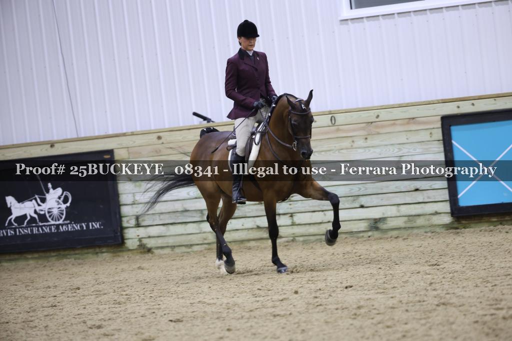 Proof Number 25BUCKEYE_08341