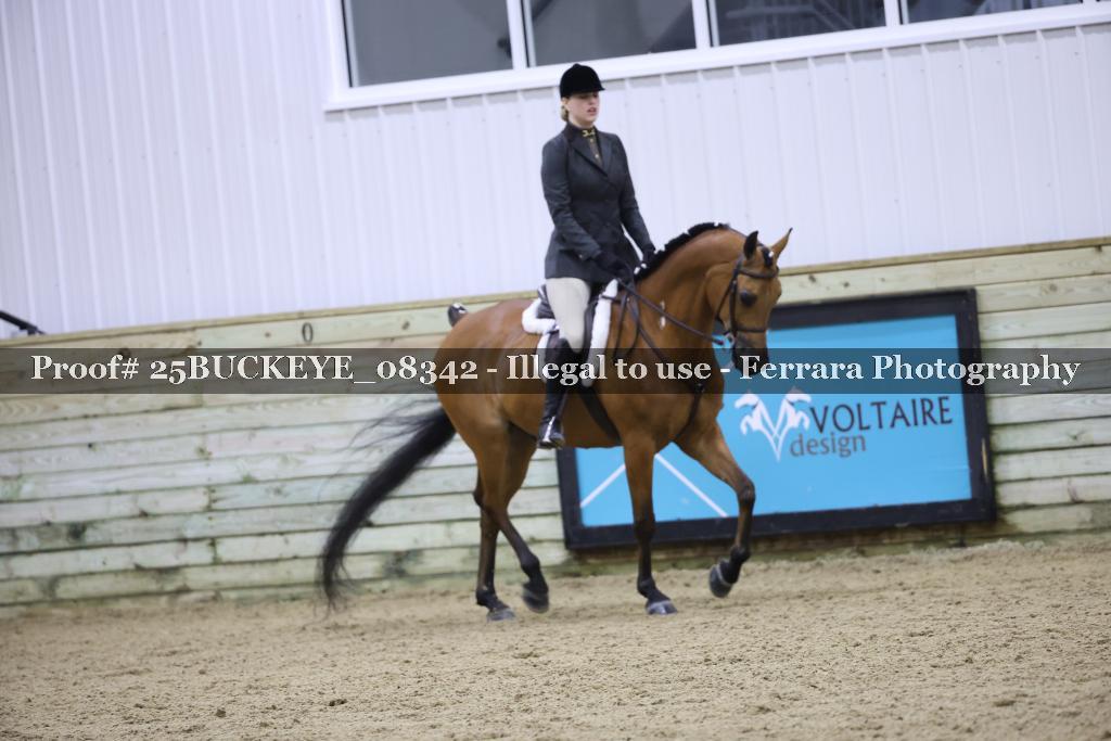 Proof Number 25BUCKEYE_08342