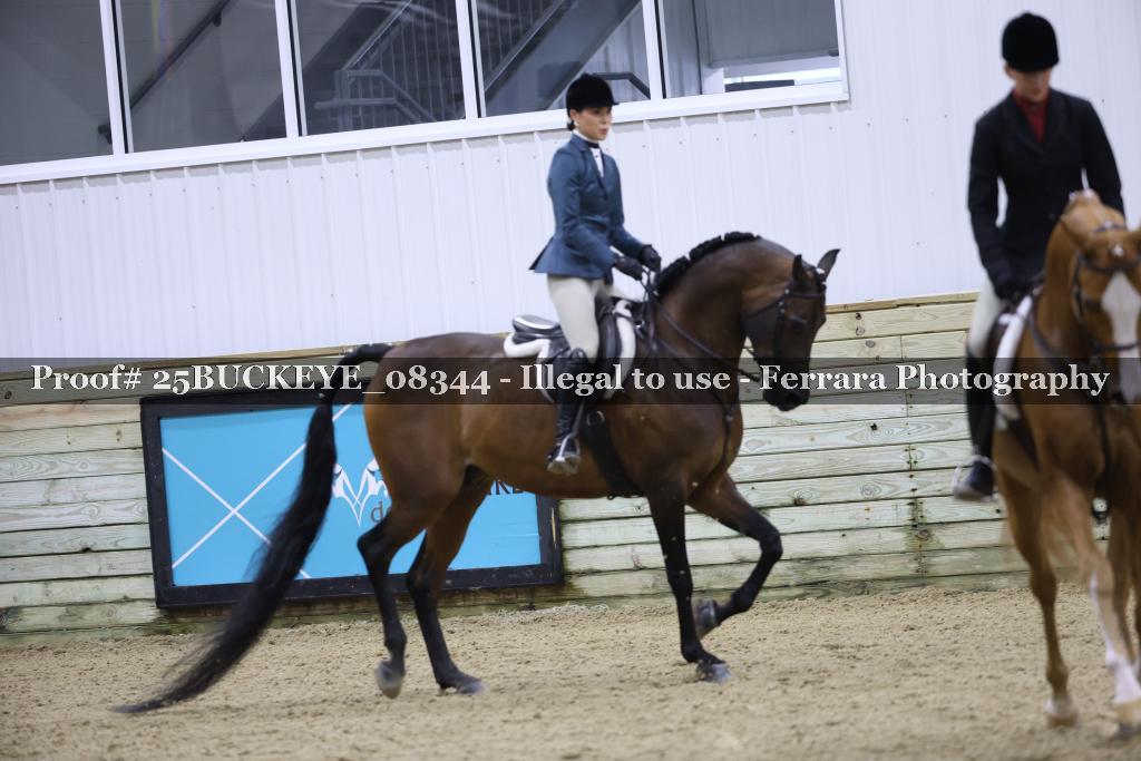 Proof Number 25BUCKEYE_08344