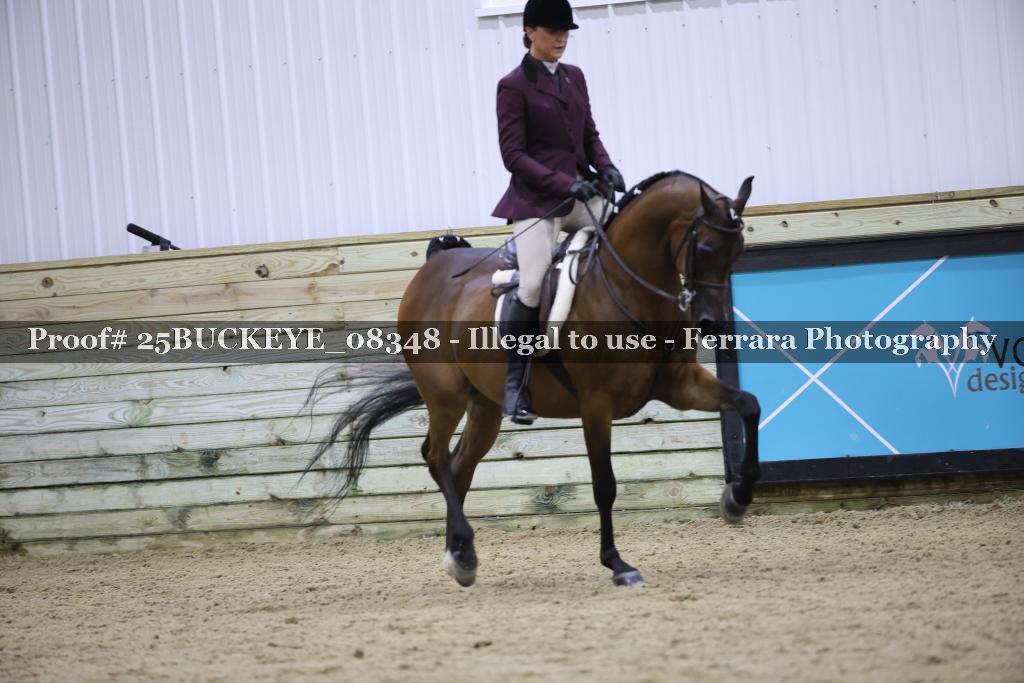 Proof Number 25BUCKEYE_08348
