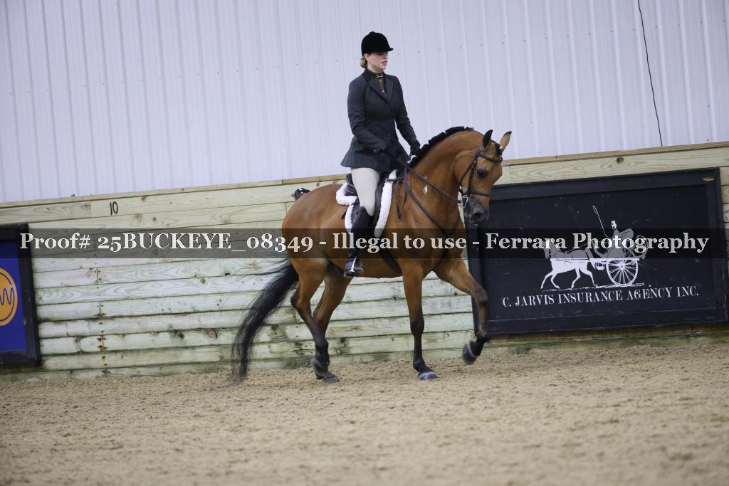 Proof Number 25BUCKEYE_08349