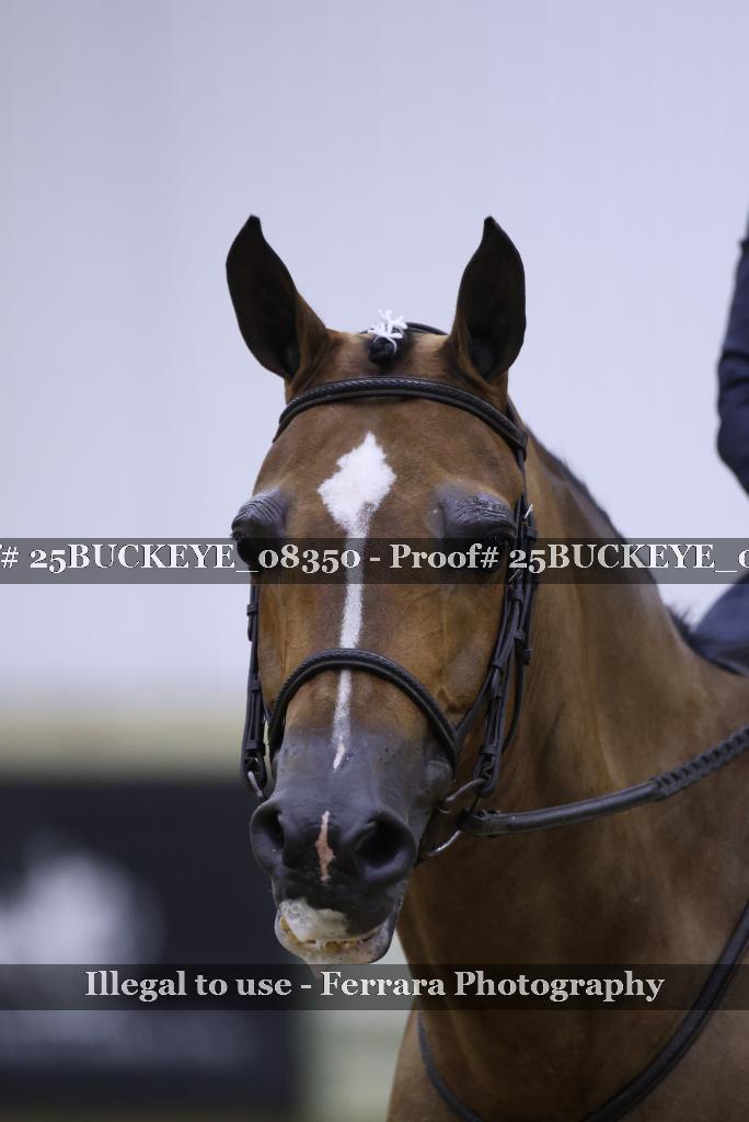 Proof Number 25BUCKEYE_08350