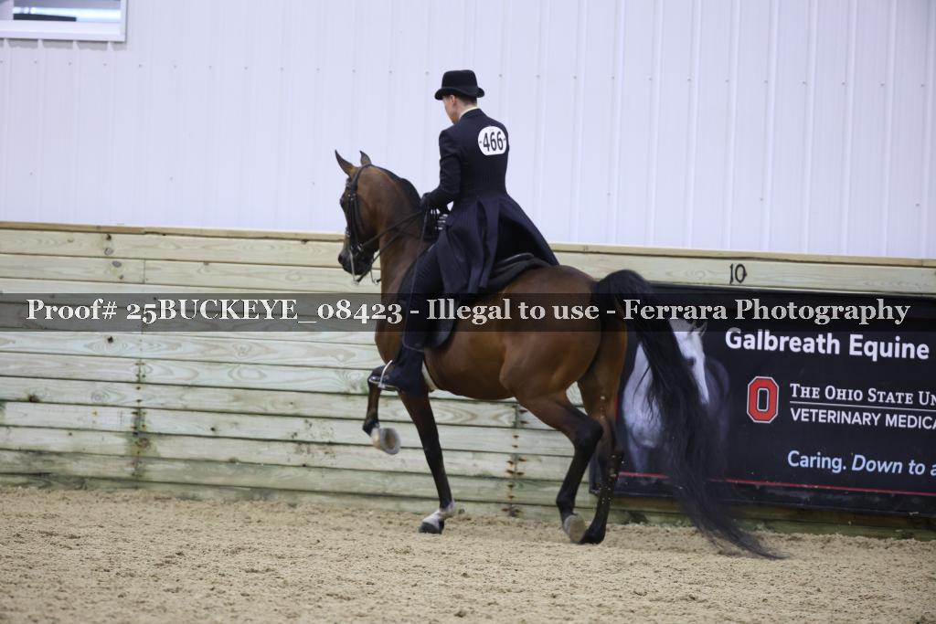 Proof Number 25BUCKEYE_08423