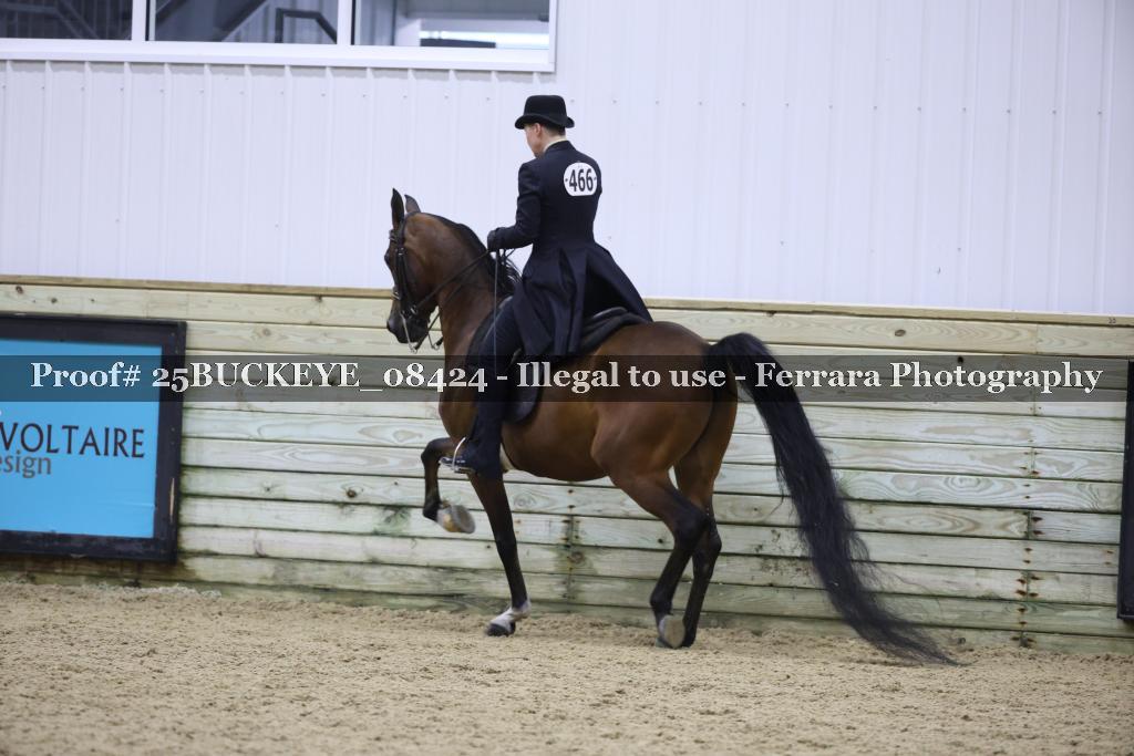 Proof Number 25BUCKEYE_08424