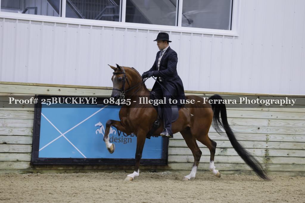 Proof Number 25BUCKEYE_08425