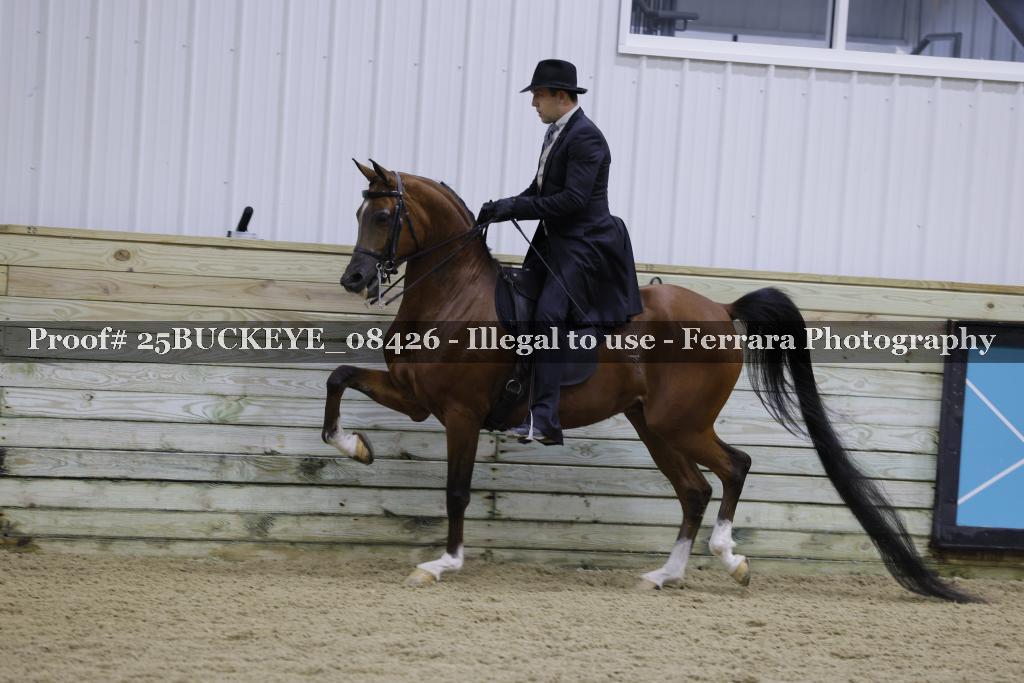 Proof Number 25BUCKEYE_08426