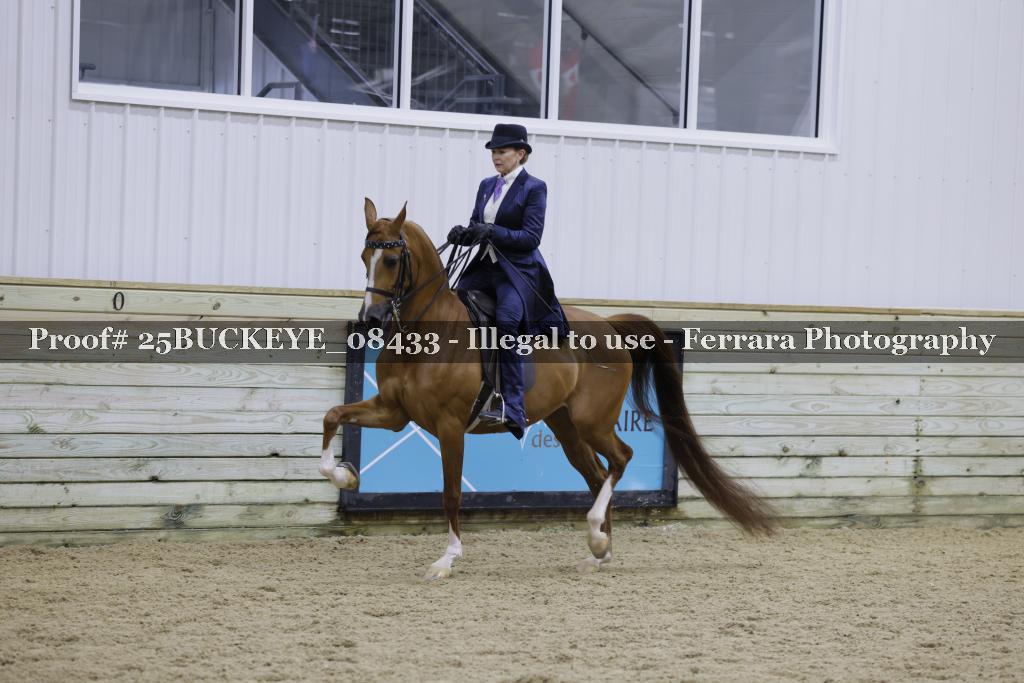 Proof Number 25BUCKEYE_08433