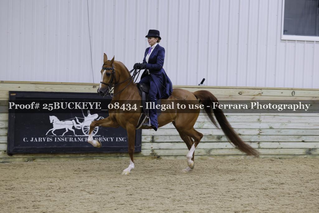 Proof Number 25BUCKEYE_08434