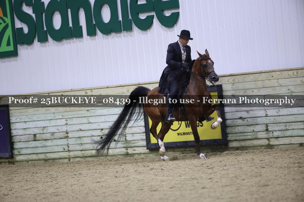 Proof Number 25BUCKEYE_08439