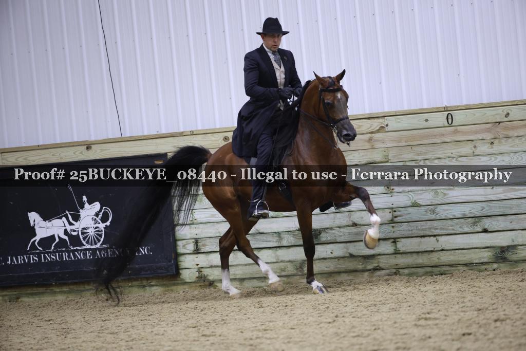Proof Number 25BUCKEYE_08440