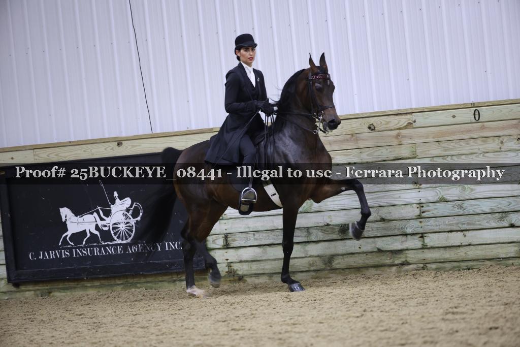 Proof Number 25BUCKEYE_08441