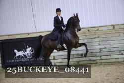 25BUCKEYE_08441 thumbnail