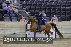 25BUCKEYE_08450 thumbnail