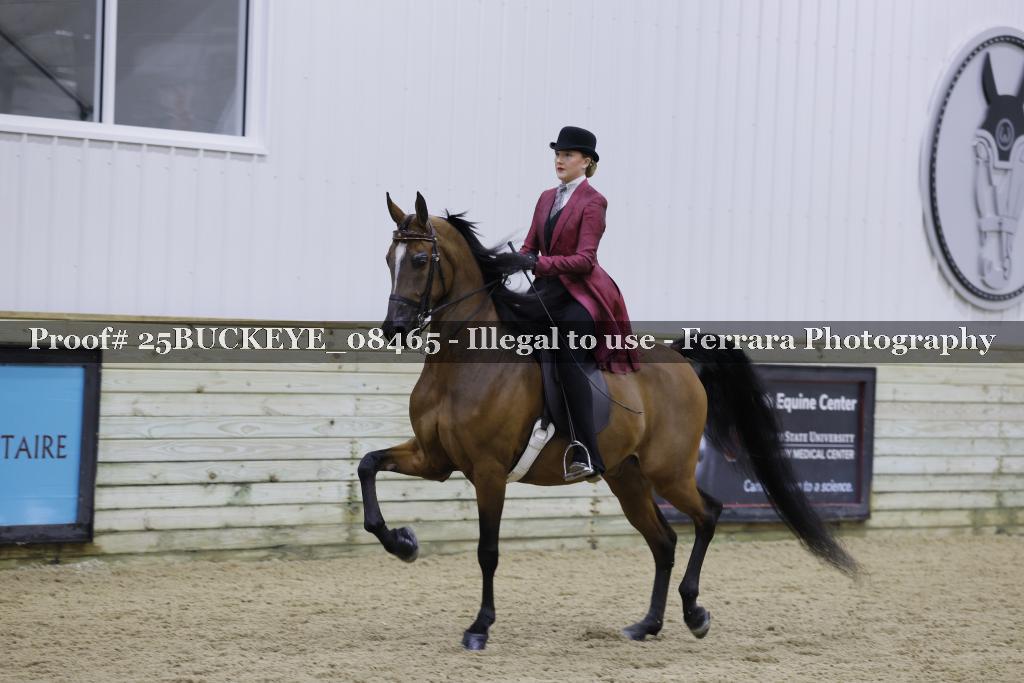 Proof Number 25BUCKEYE_08465