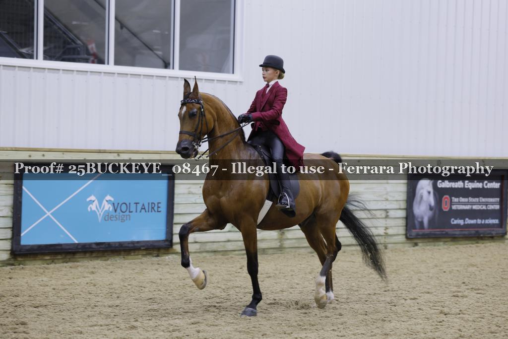 Proof Number 25BUCKEYE_08467