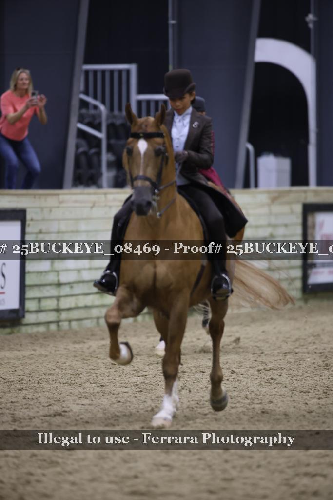 Proof Number 25BUCKEYE_08469