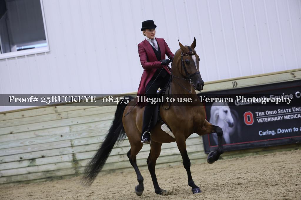 Proof Number 25BUCKEYE_08475
